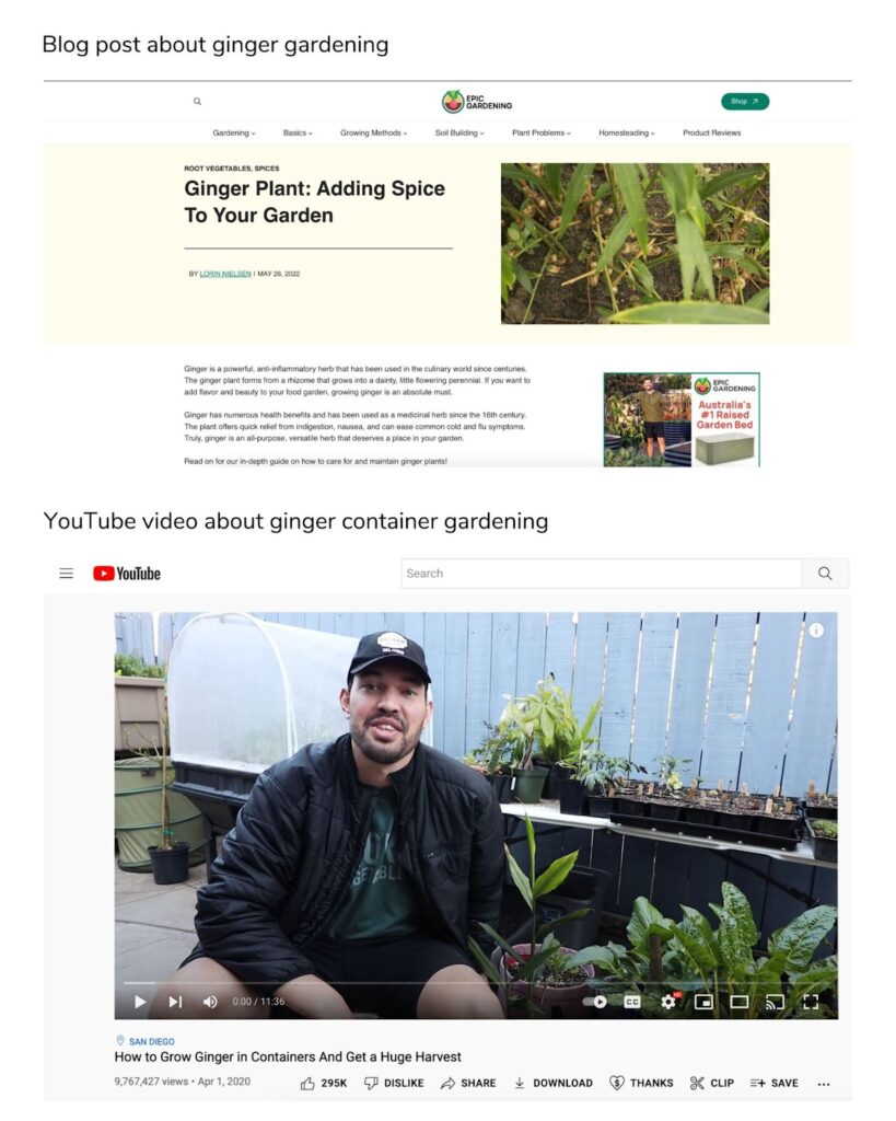 influencer blog about gardening