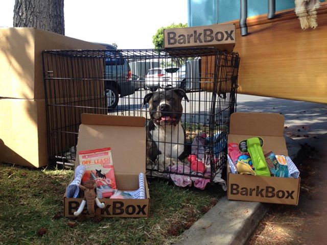 Barkbox charity partnership