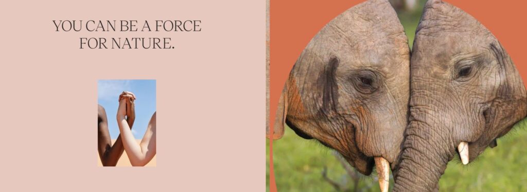 Ivory Ella wildlife conservation cause