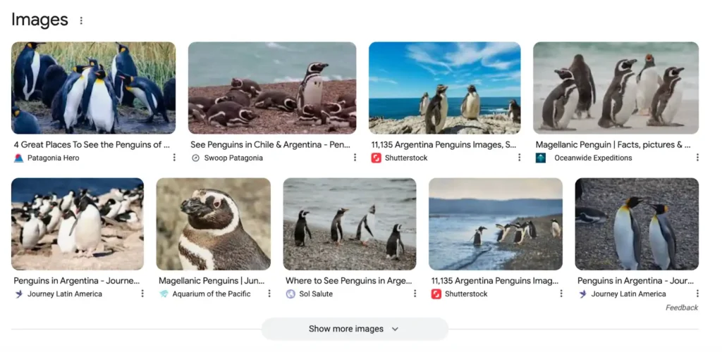 google image search results