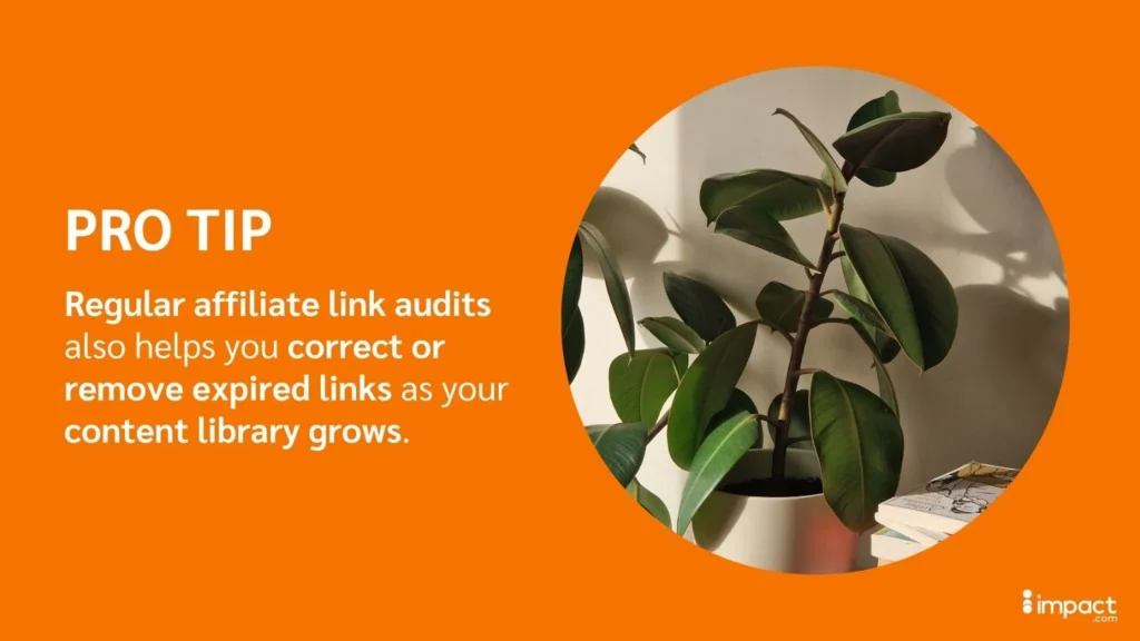 Graphic featuring a potted plant with text on an orange background advising on the importance of regular affiliate link audits.