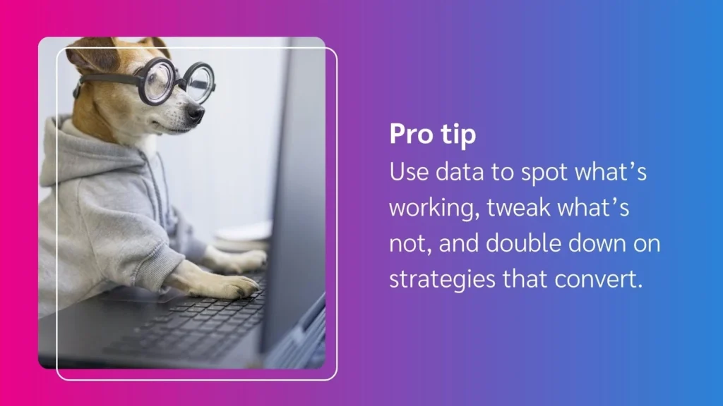 A dog wearing glasses and a hoodie sits at a laptop, embodying a playful approach to data-driven marketing strategies.