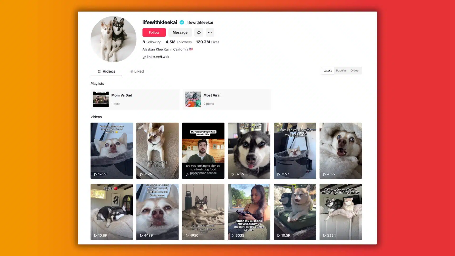 A TikTok profile dedicated to Alaskan Klee Kai dogs, showcasing videos and playlists with millions of views and likes.