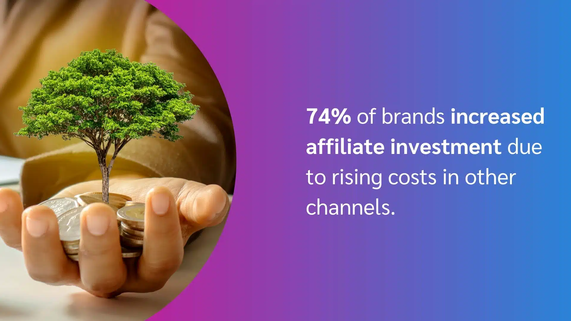 An open hand holds coins with a small green tree growing from them. Text states that 74% of brands increased affiliate investment.